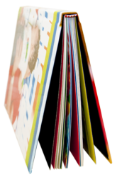 Viovio's new 8" x 12" hard cover photo book with double-thick cover stock pages.