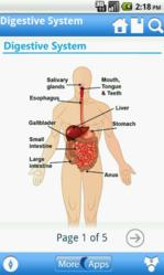 Diabetes app from WAGmob