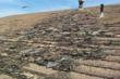 Hurricane Roof Damage in Jacksonville, FL Now Repaired by Roof Link...