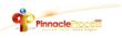 Pinnacle Process Solutions logo