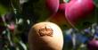 Vermont Dept. of Tourism Kicks Off Sixth Annual Apples to iPods...