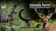 Guaranteed to Improve your Bows Aim with the Revolutionary New Steady...