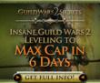 Guild Wars 2 Secrets Guide by Brad Johnson for Fast Leveling and...