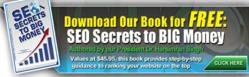 SEO Secrets to Big Money