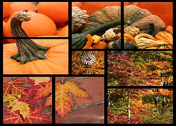 This is a Business Greeting Card with the image of a collage of pumpkins.