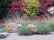 Expert Tips from Landscape Designers for a Show Stopping Fall...