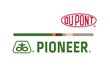DuPont Pioneer and the Sorghum Checkoff Collaborate to Improve Sorghum...