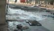 Syrian Expatriates Organization (SEO) Issues Urgent Appeal to...