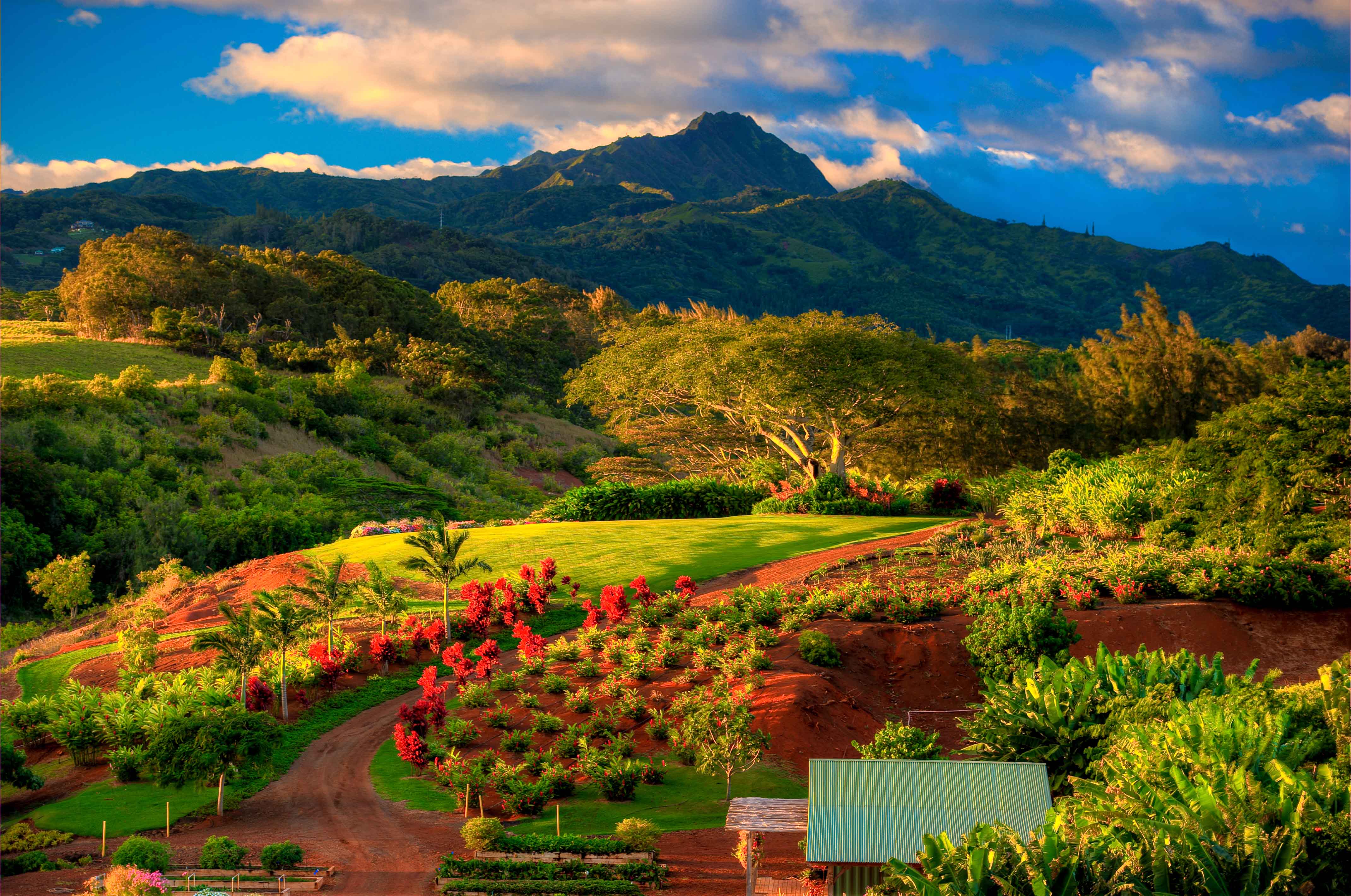 Hawaiian Agriculture