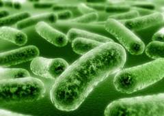 Microbiology @ ScienceIndex.com