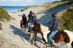 Huge Savings on Premier Escorted Tours to New Zealand