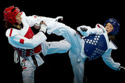 MEAS-Taekwondo