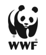 At Least 26 Elephants Massacred In World Heritage Site, According to...