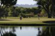 Tucson Autism Community Center Announces its Annual Autism Charity...