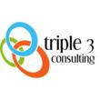 Triple 3 Consulting Launched to Assist Nonprofits
