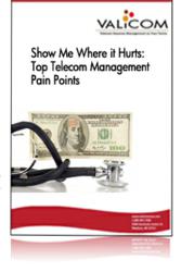 Telecom management white paper