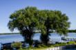 Save 25% on the Next Trip to Delavan Lake Resort