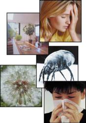It is proven that indoor air pollutants cause a variety of health problems, including irritation of the eyes, nose, and throat, headaches, dizziness, fatigue, asthma, and even eventually respiratory disease, cancer, and even heart disease. The young, the