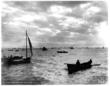 Fierce Competition, Fish Piracy, Led to NW Fishing Industry Decline,...