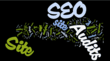 Washington DC SEO Service Offers Free Initial SEO Site Audits