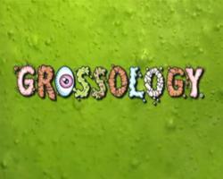 Grossology Exhibit at The Oregon Museum of Science and Industry.