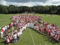 carrollwood school students paints campuses pink its awareness cds faculty breast ribbon cancer field form football