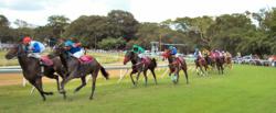 Polo and Horse Racing Heritage Tourism in Barbados