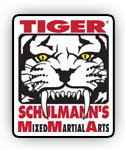 Mixed Martial Arts New York City