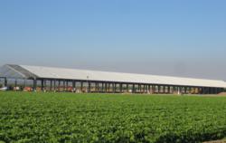 Conergy purpose-built solar structure under construction at T&P Farms