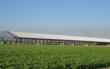 Conergy Helps T&P Farms use the Sun to “Crack” Almonds in Northern...