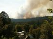 American Forest Foundation: Family Forest Owners Need More Wildfire...