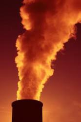 Benzene: severe adverse events threat