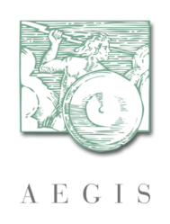 AEGIS.net, Inc. logo
