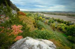 Missouri Timberland auction, Missouri recreation land auction, Missouri development land auction, Boone County Missouri land for sale, Boone Country development land auction, United Country Real Estate