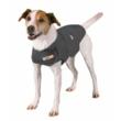 WholePetDirect.com Launches Easy Fix for Pooch Anxiety