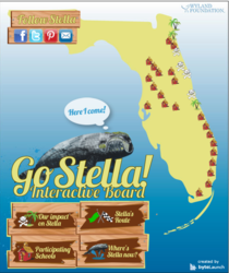 Wyland_Foundation_Stella_Interactive_Storyboard_Created_by_ByteLaunch