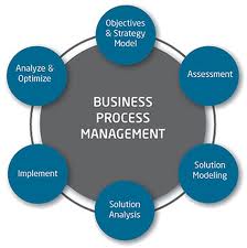 management business process analyst sections marketing implementing based bpm enterprise sciences network published social gartner