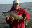 Walleye Dreams Become A Reality Every Fall On Devils Lake And The...