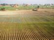 New Agriculture Sciences Content at Science Alerts Social Network