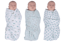 The calm and cozy look of a swaddled baby