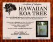 Ahu Lani Sanctuary Announces Unique Environmental Gift: "Adopt a Tree and Watch it Grow." Recipients get an Emailed Photo of their Adopted Tree Every Year for 10 Years