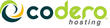 Codero Hosting Names Eli Bowman as CFO