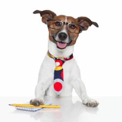 Popular Dog News Site Makes a Major Announcement to Donald Trump