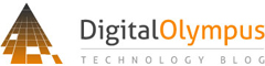 litigation support, due dilligence, business intelligence