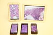 Room4 Group Limited; Crowborough, UK: The first Whole Slide Image viewer for Pathology released for all mobile platforms including Windows 8 mobile.