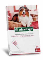 Advantage flea treatment
