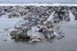 US Federal Contractors Registration: Contractors Needed in FEMA Relief Efforts