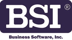 Business Software, Inc. (BSI)
