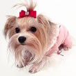 Funny Fur to Host Warm Up Your Pup In-Store Event