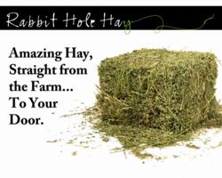 Rabbit Hole Hay